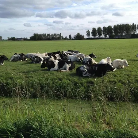 By Water Near Rotterdam, Cleaning Included 別荘 *