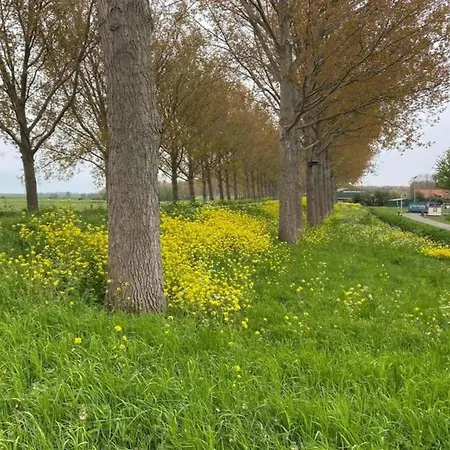By Water Near Rotterdam, Cleaning Included * Simonshaven